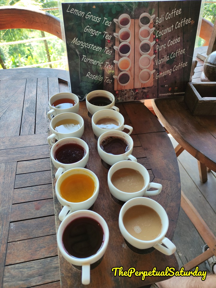 Kumulilir Tea and coffee tasting flavours, Luwak Coffee sample in Bali