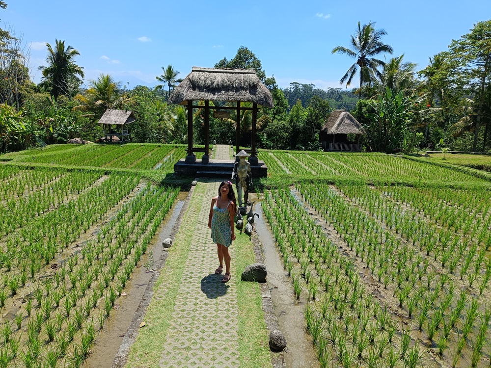 Kumulilir Bali Indonesia, Luwak Coffee plantation tours bali