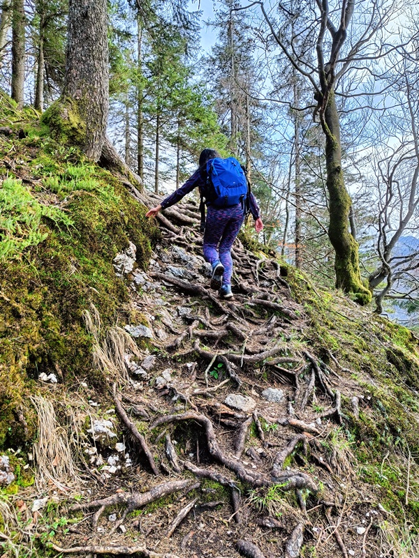 Plombergstein Hiking Trail