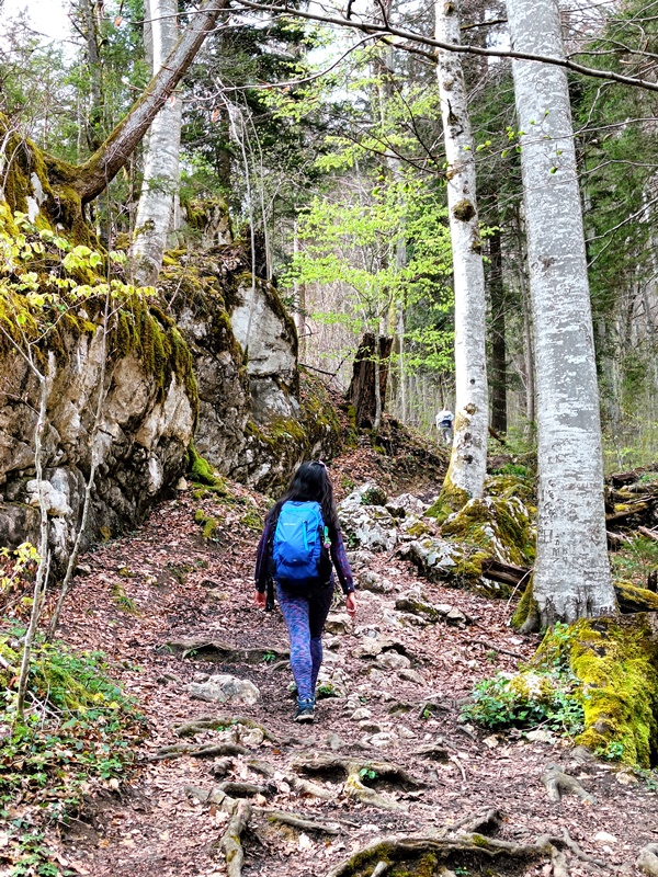 Hiking Trails near St Gilgen Austria