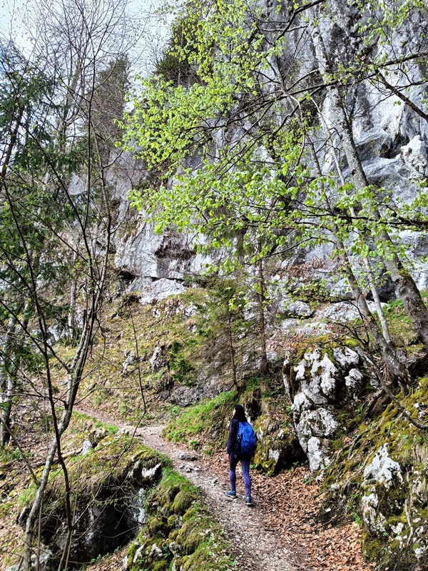 Plombergstein Hiking, Attractions in St Gilgen Austria