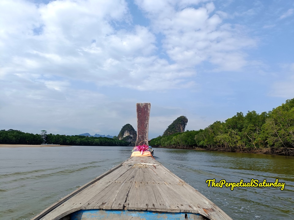 Krabi mangrove bat cave Boat Tours 