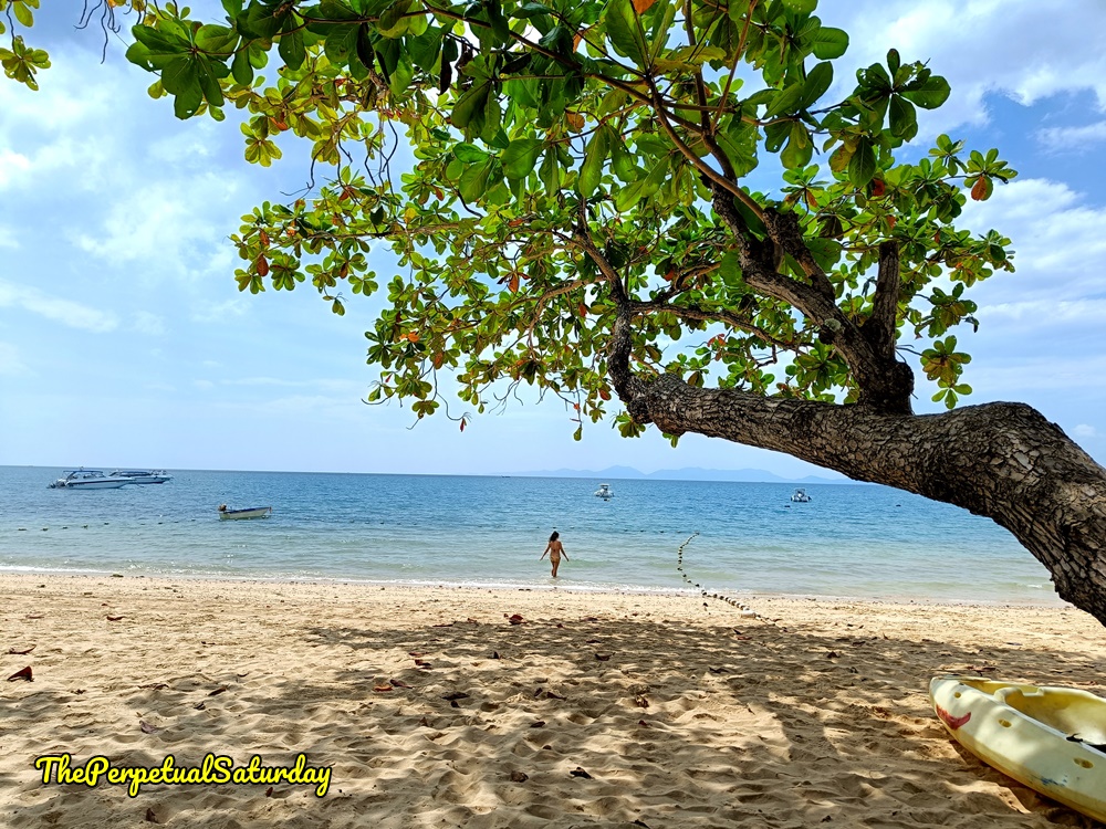 koh kwang beach water quality