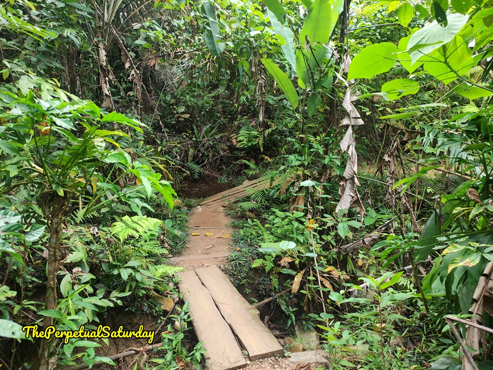 Walking paths in Kuala Lumpur
