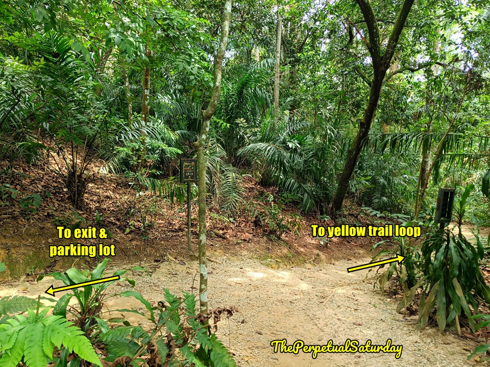 Taman Tugu hiking