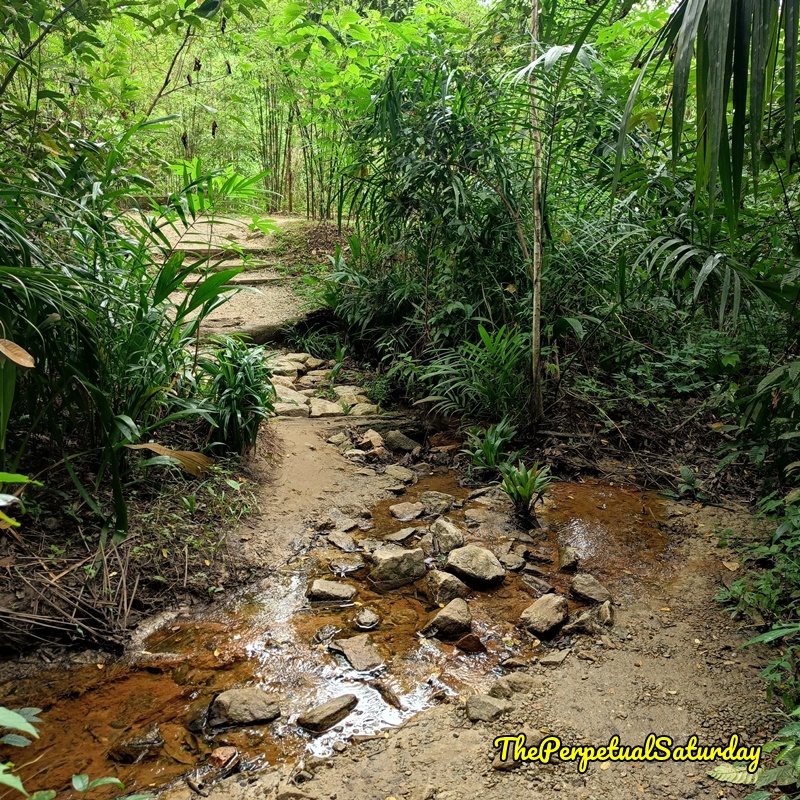 Hiking in KL