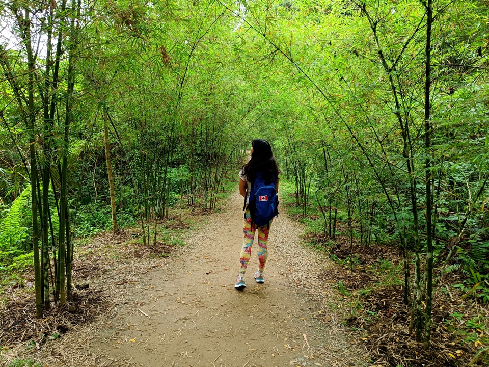 Taman Tugu trails