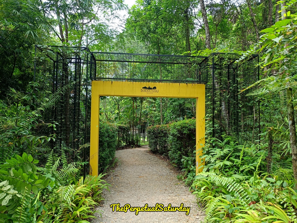 Hiking in Taman Tugu KL