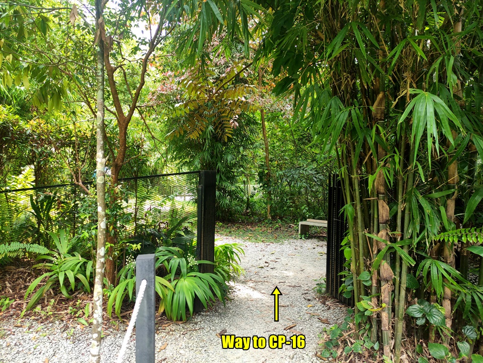 Taman Tugu hiking guide