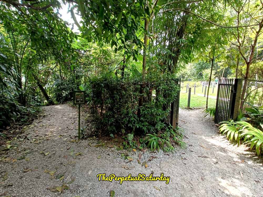 Taman Tugu trail guide