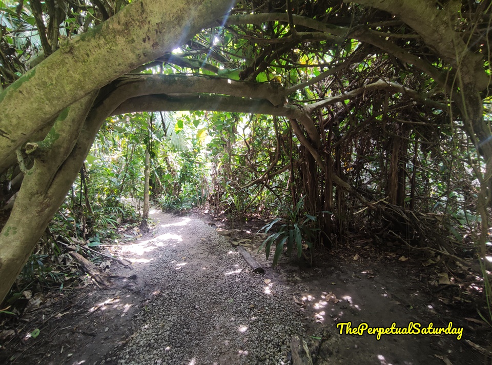 Hiking trail guides KL