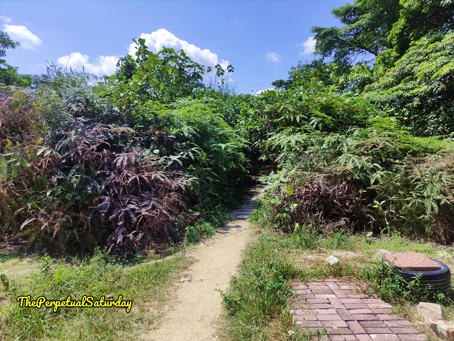 Sri Bintang Hill Trail Hike