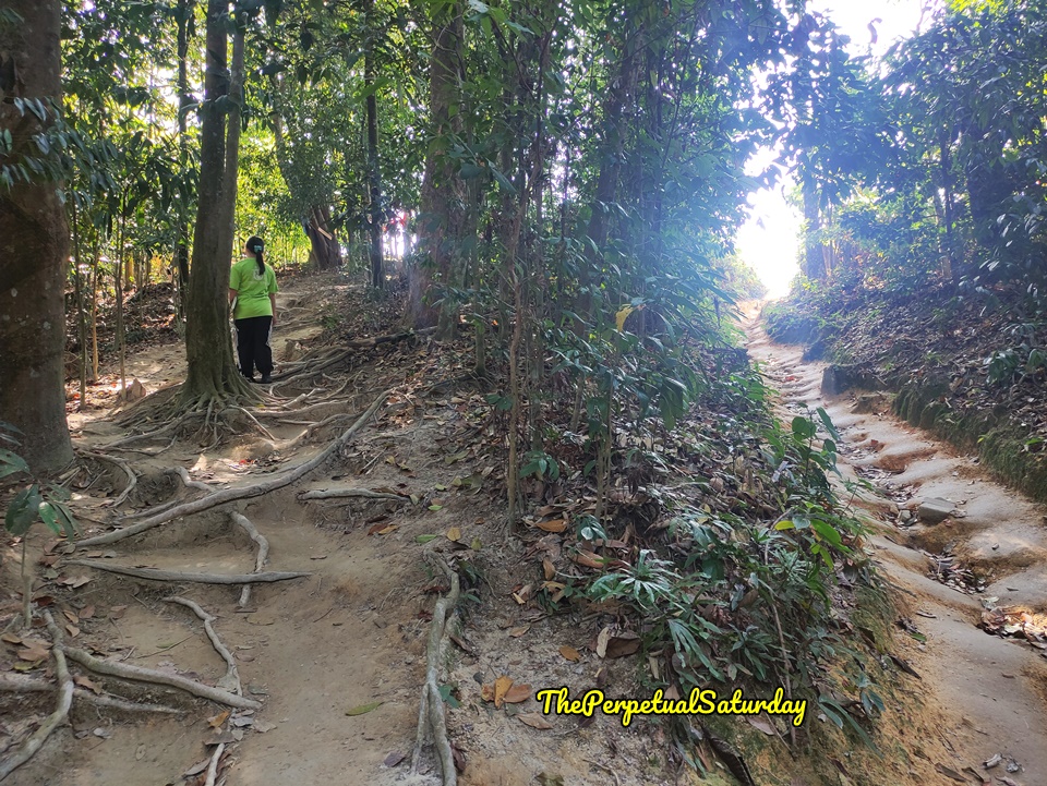 Hiking Sri Bintang Hill Malaysia