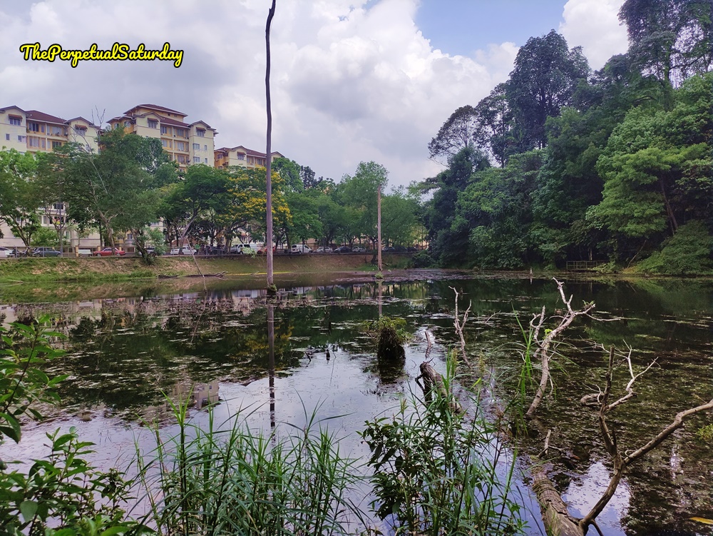 Kota Damansara Forest Reserve hiking
