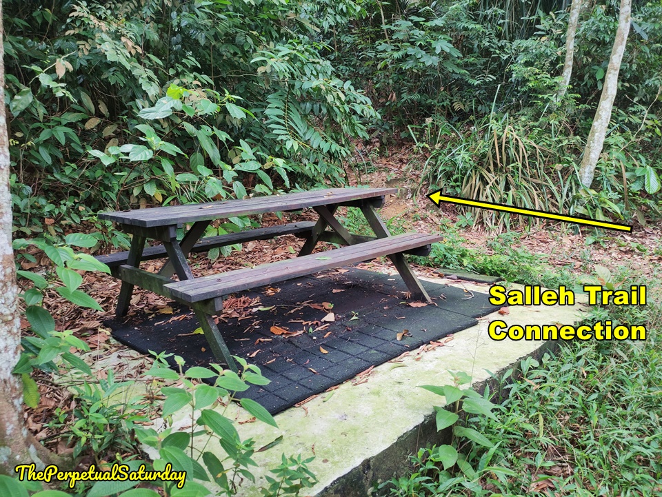 Kota Damansara Forest Reserve Petaling Trail