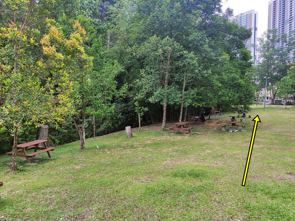 Kota Damansara Community Forest opening hours