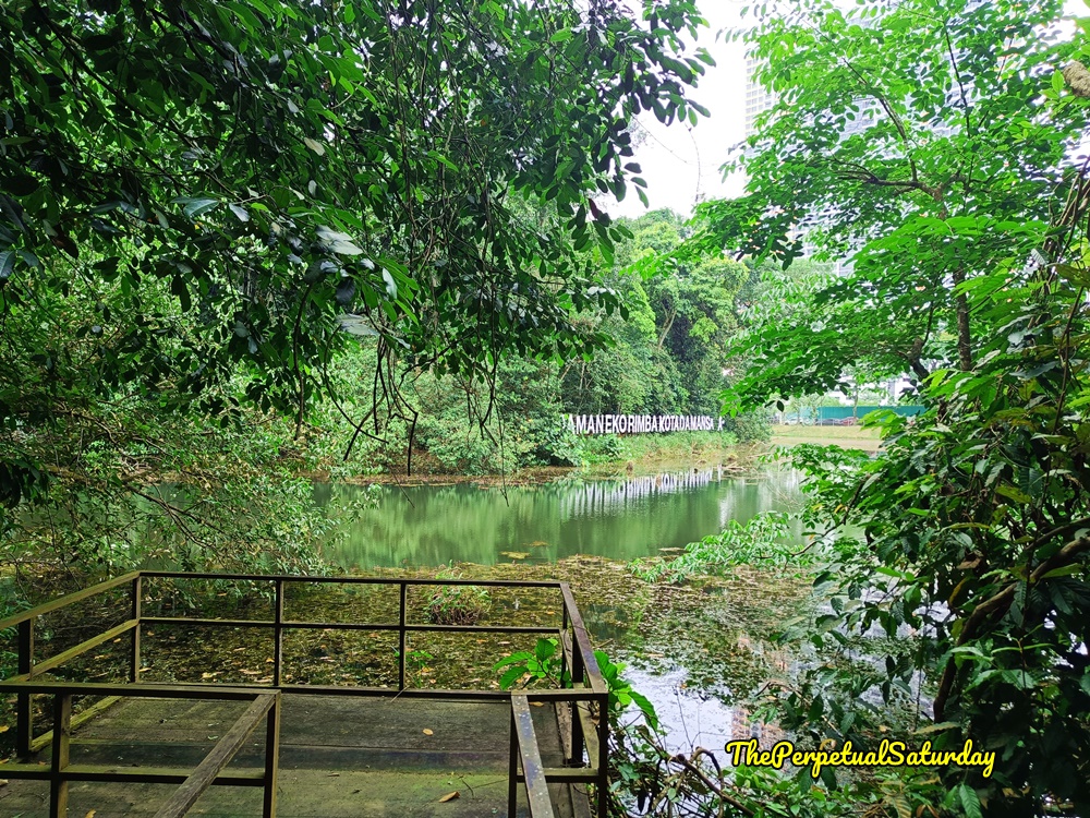 Taman Eko Rimba Kota Damansara Forest Reserve prices
