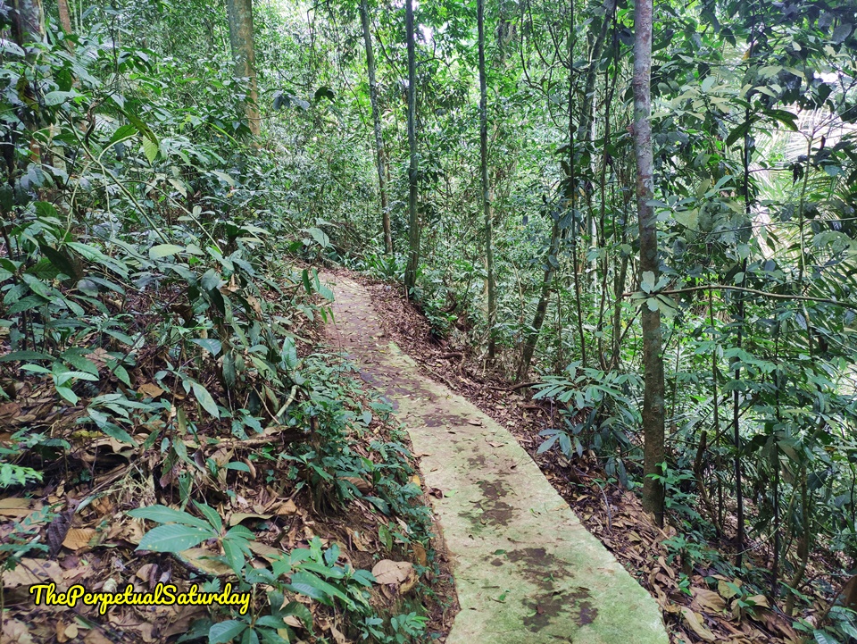 Petaling Trail map Kota Damansara Forest Reserve