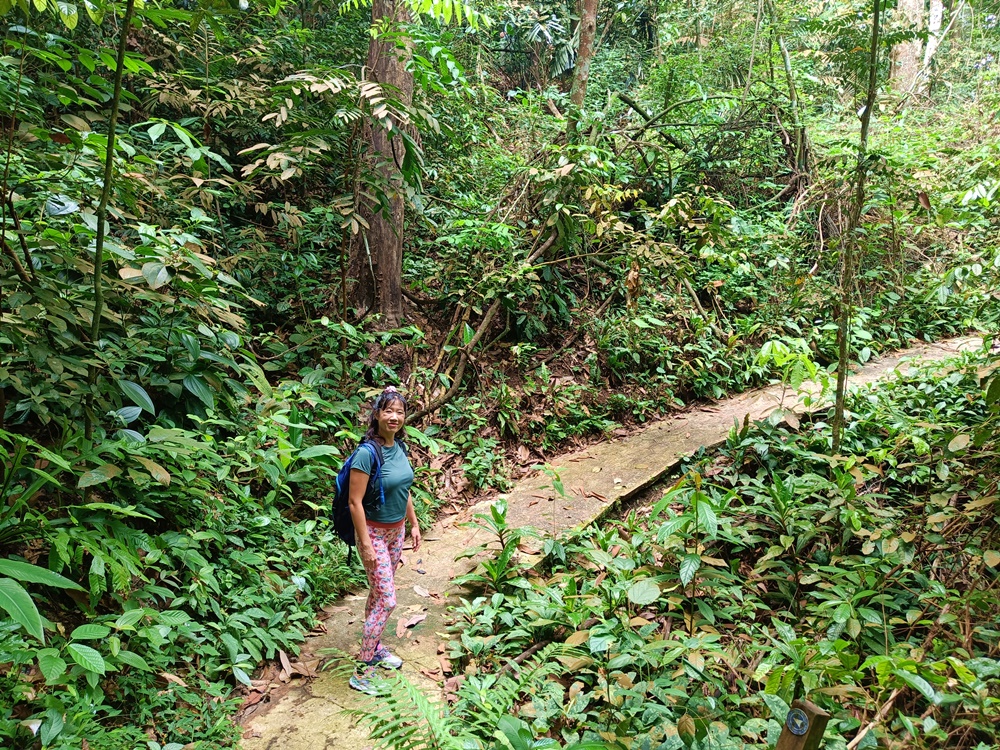 Hiking in Kota Damansara Forest Reserve 