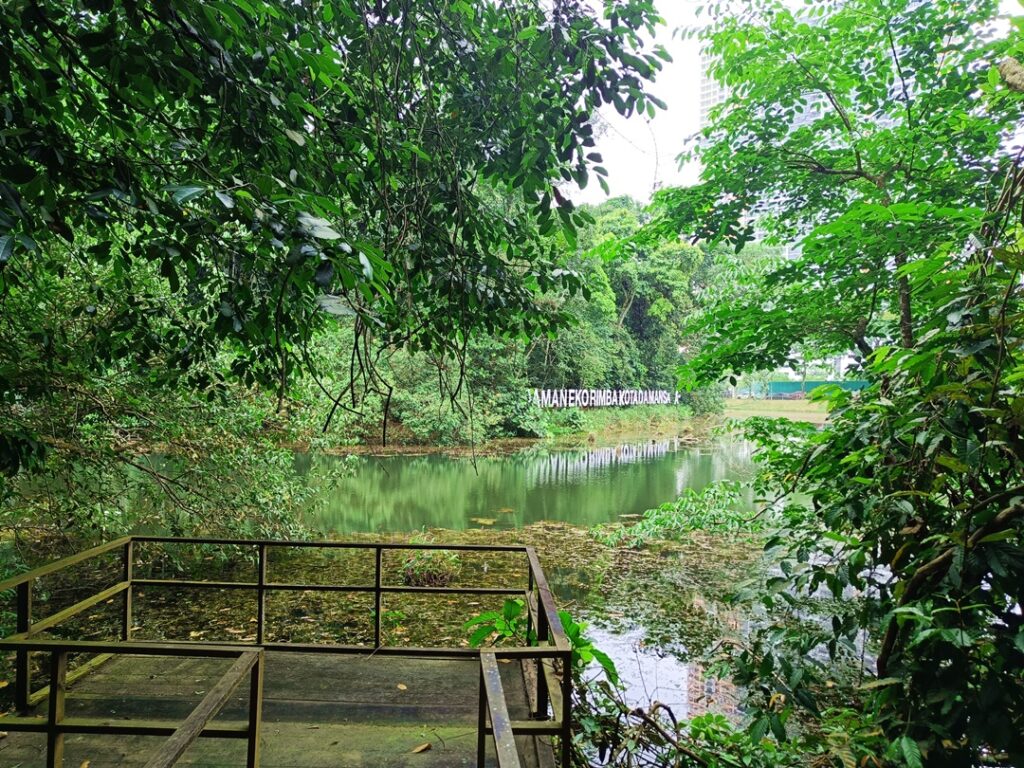 Kota Damansara Forest Reserve Trail guide