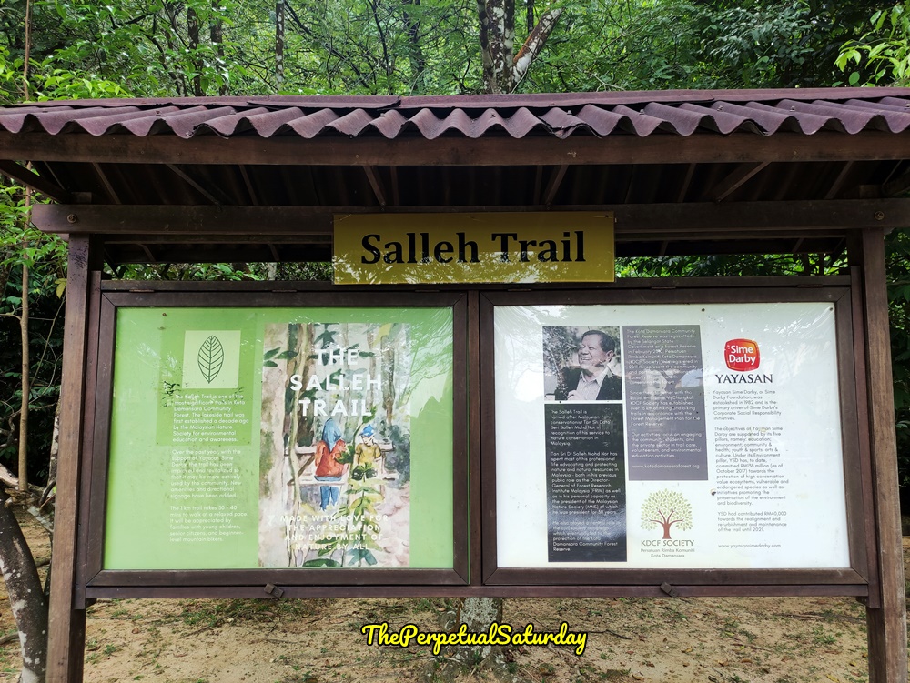 Hiking Salleh Trail Kota Damansara Forest Reserve