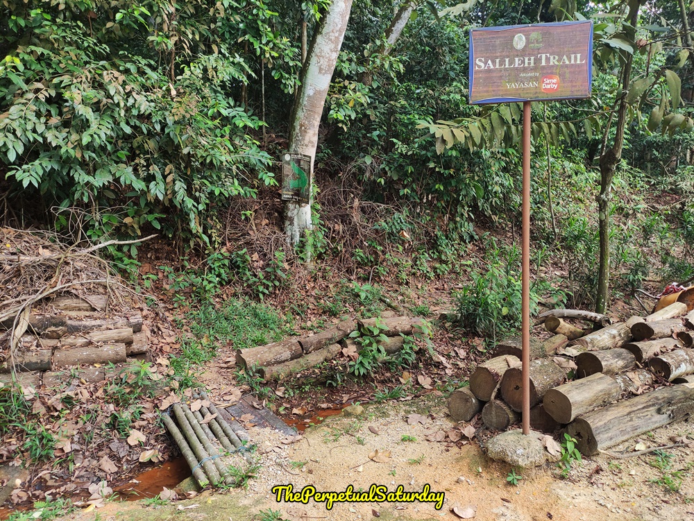 Salleh Trail hiking map at Kota Damansara Forest Reserve