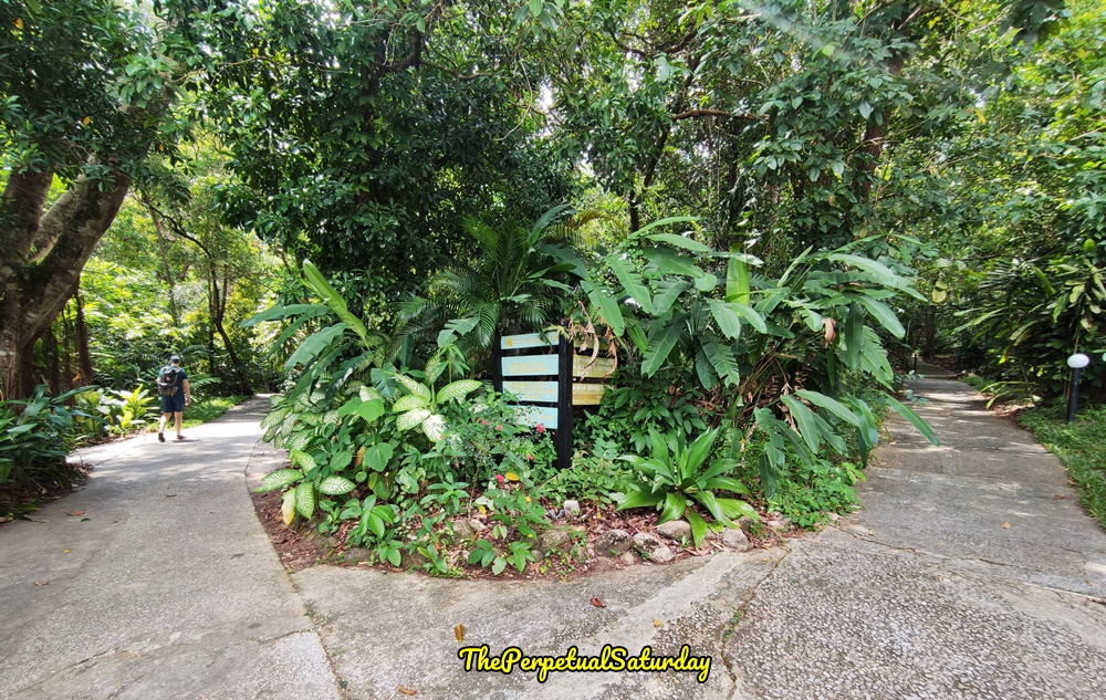 Permai Rainforest Resort Santubong Sarawak