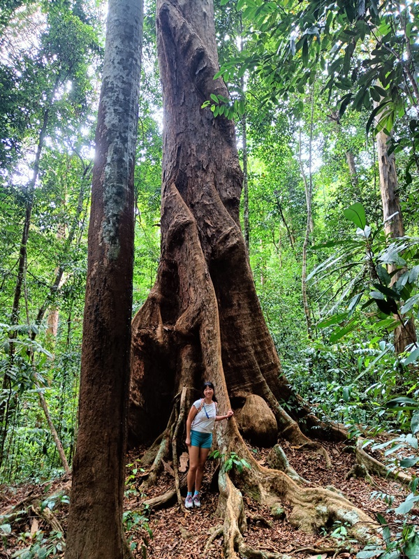 Permai Rainforest Resort hiking trails