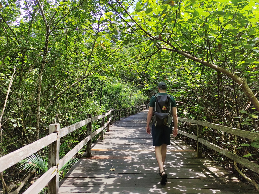 Hiking Trails in Santubong, What to do in Santubong Sarawak