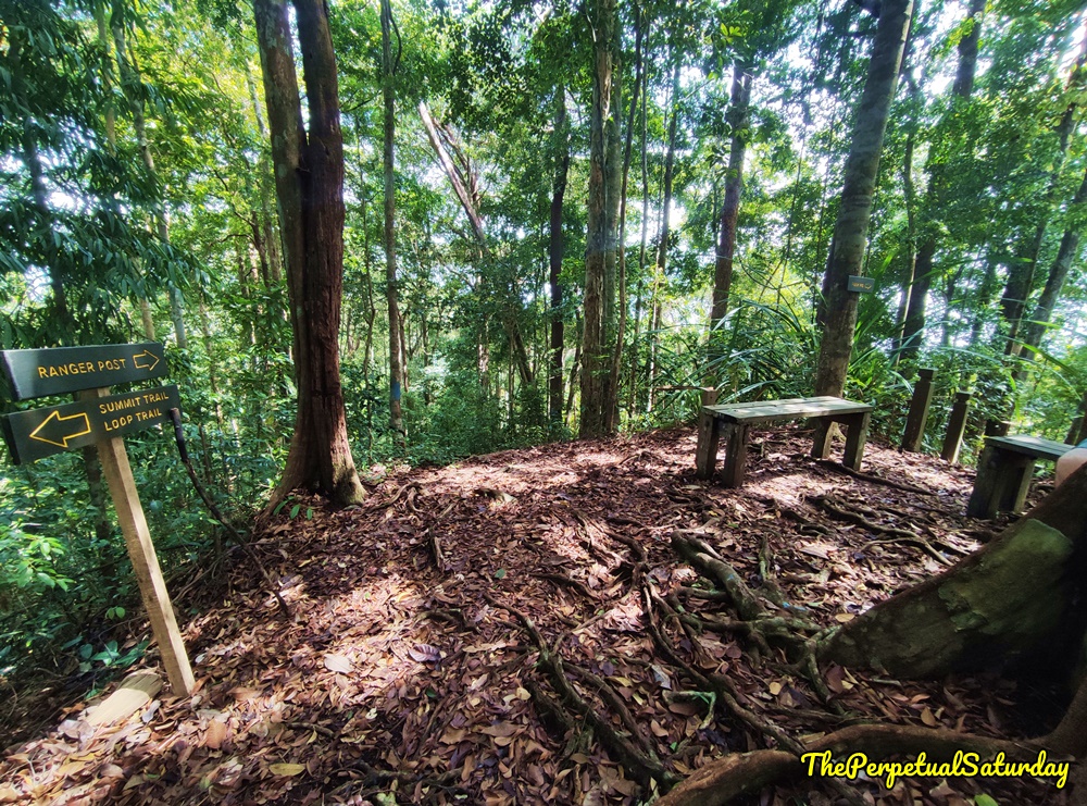 Hiking Trails in Santubong Sarawak