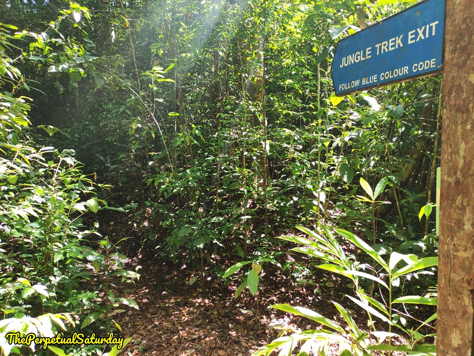Santubong Hiking Trails