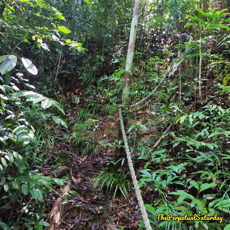 Santubong Loop Trail elevation