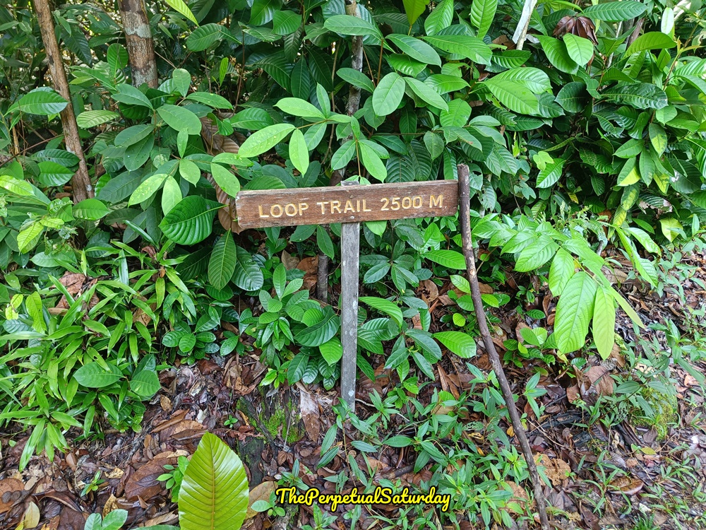 Hiking Trails in Santubong Sarawak