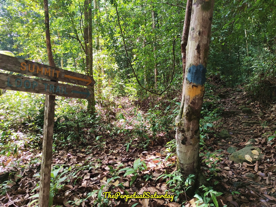 Santubong Loop Trail Summit Trail