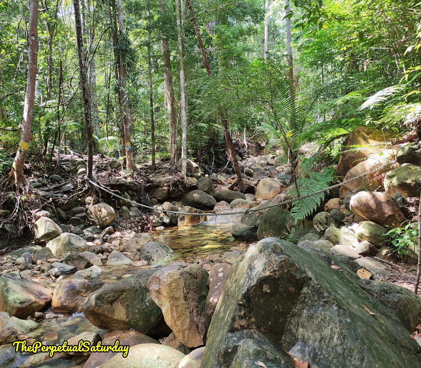 Santubong Loop Trail review