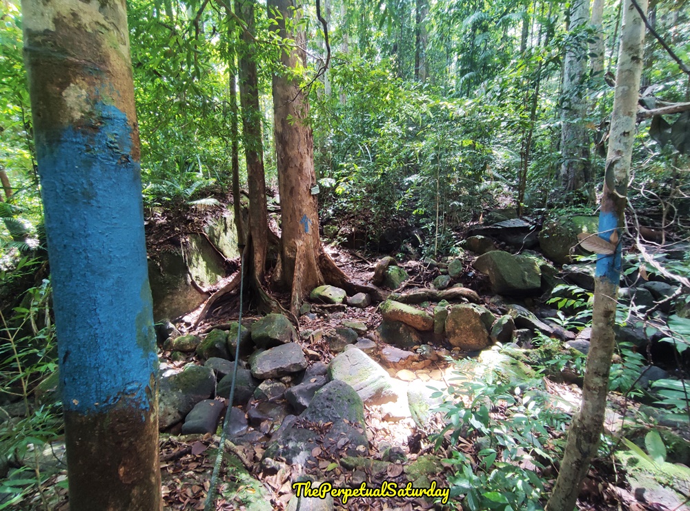 Santubong Loop Trail Guide