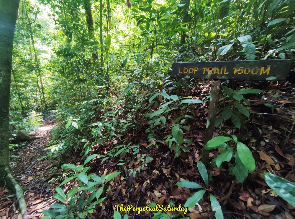 Santubong Loop Trail Sarawak