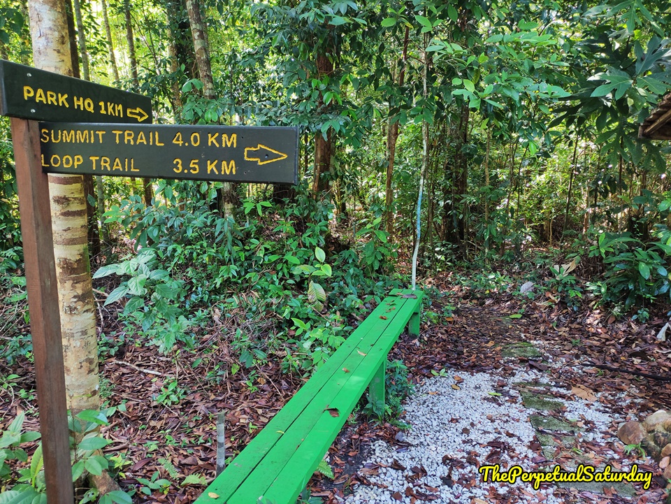 Santubong National Park hiking trails