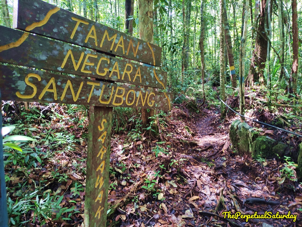 Santubong National Park Sarawak