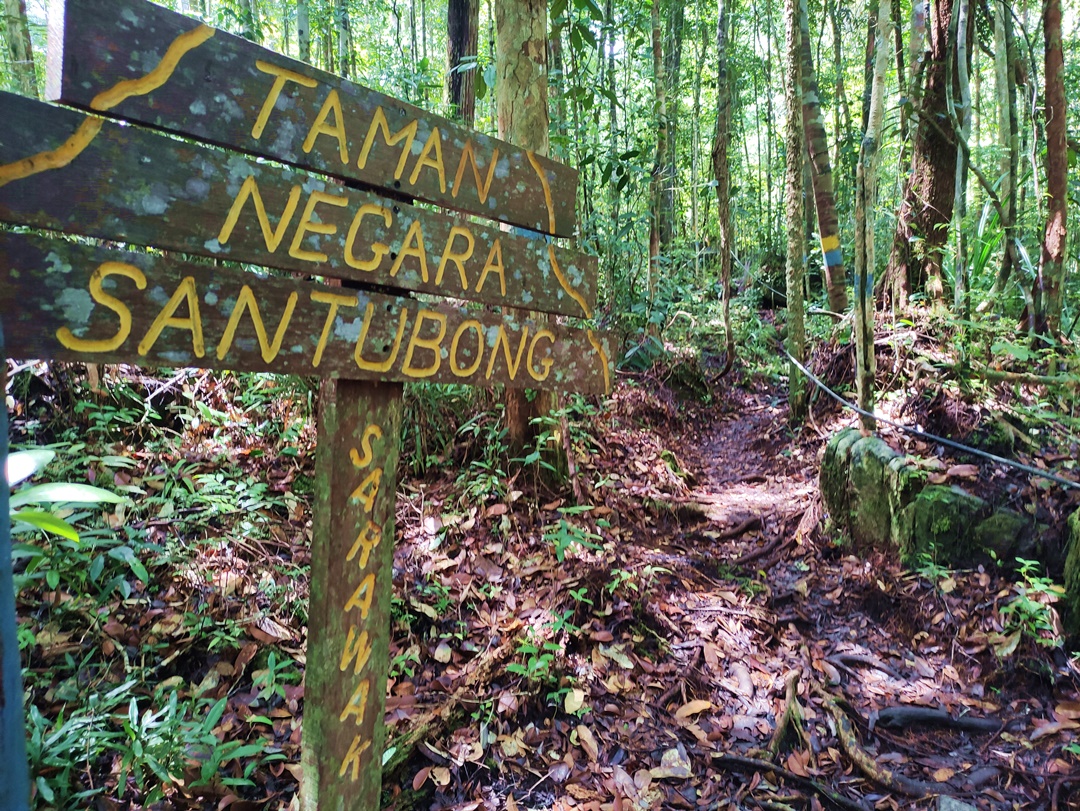 Everything You Need to Know Before Visiting Santubong National Park