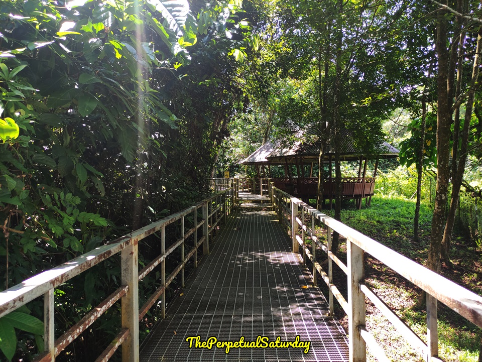 Trails at Wind Caves Sarawak
