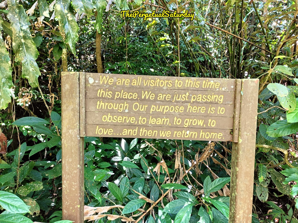 Top Attractions in Kuching Sarawak