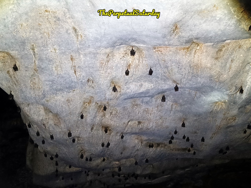 Wind Caves Sarawak